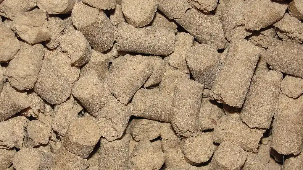 Close-up of cylindrical pelleted cattle feed