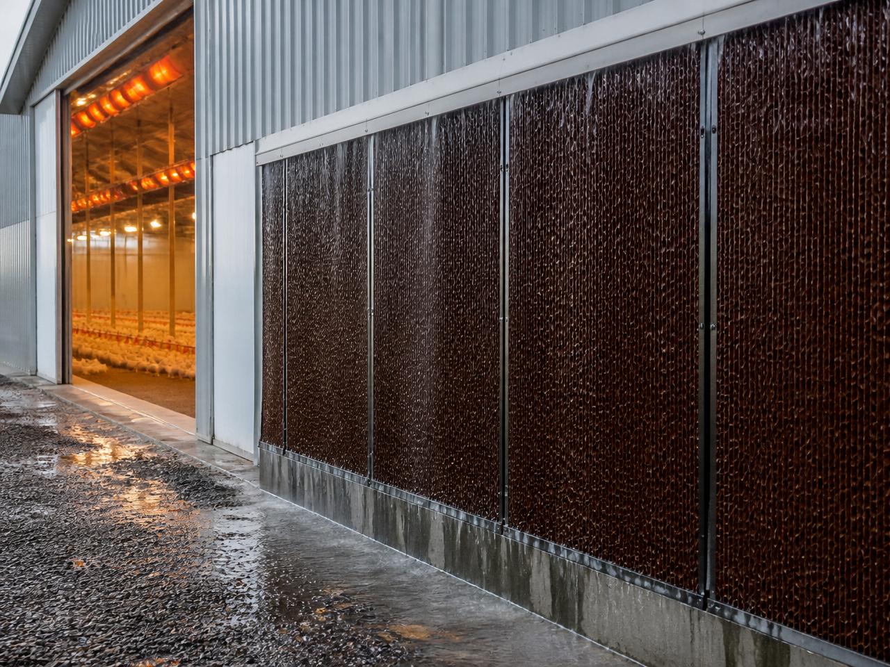 Poultry water systems — nipples, medicators & treatment. — Drinking Systems — reference imagery 2 of 4