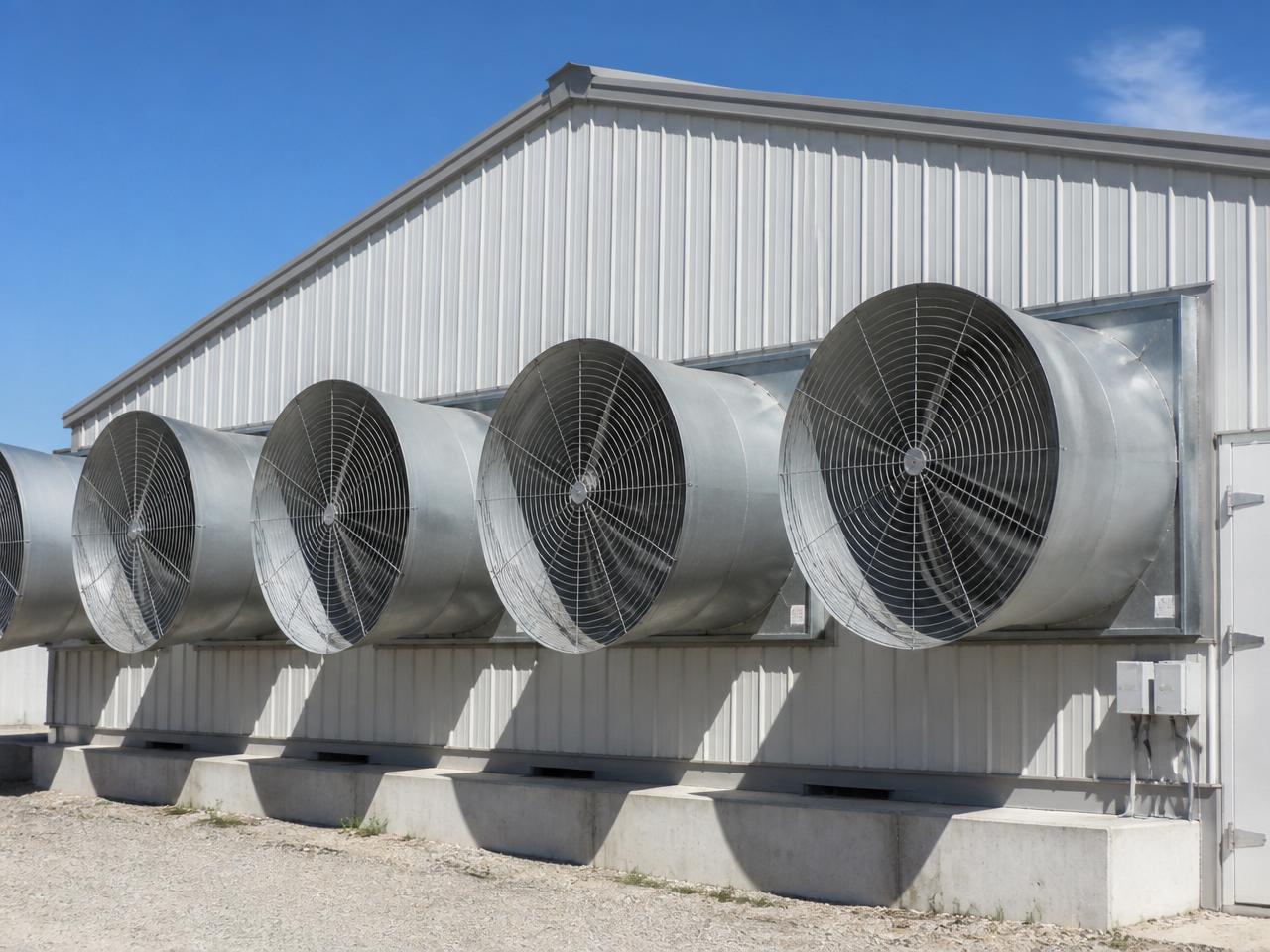 Poultry Equipment Buying Guide — India — South Asia — Buying Guide — reference imagery 3 of 4